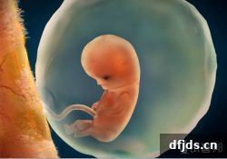 dfjds.cn 版权所有 东方监督所 dfjds.cn - 试管婴儿