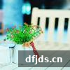 东方监督所 dfjds.cn - 试管婴儿