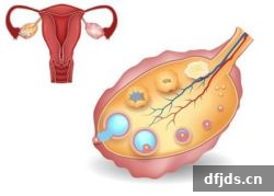 东方监督所 dfjds.cn - 试管婴儿
