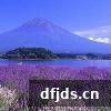 东方监督所 dfjds.cn - 试管婴儿