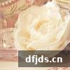 dfjds.cn 版权所有 东方监督所 dfjds.cn - 试管婴儿