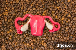 东方监督所 dfjds.cn - 试管婴儿