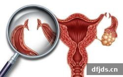东方监督所 dfjds.cn - 试管婴儿