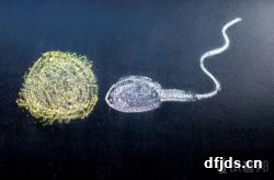 东方监督所 dfjds.cn - 试管婴儿