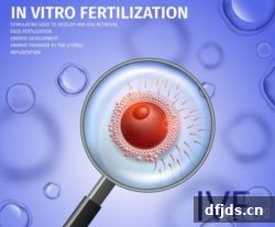 东方监督所 dfjds.cn - 试管婴儿