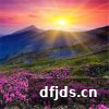 dfjds.cn 版权所有 东方监督所 dfjds.cn - 试管婴儿