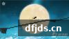 dfjds.cn 版权所有 东方监督所 dfjds.cn - 试管婴儿