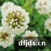 东方监督所 dfjds.cn - 试管婴儿