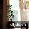 东方监督所 dfjds.cn - 试管婴儿