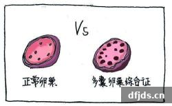 东方监督所 dfjds.cn - 试管婴儿