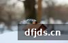 东方监督所 dfjds.cn - 试管婴儿