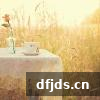 dfjds.cn 版权所有 东方监督所 dfjds.cn - 试管婴儿