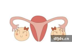 东方监督所 dfjds.cn - 试管婴儿