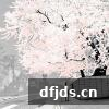 东方监督所 dfjds.cn - 试管婴儿