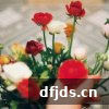 东方监督所 dfjds.cn - 试管婴儿