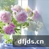 东方监督所 dfjds.cn - 试管婴儿