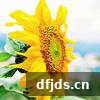 dfjds.cn 版权所有 东方监督所 dfjds.cn - 试管婴儿