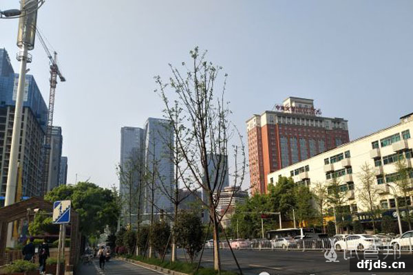 东方监督所 dfjds.cn - 试管婴儿