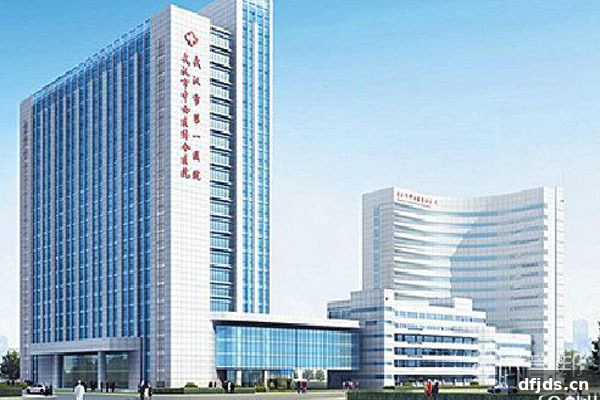 东方监督所 dfjds.cn - 试管婴儿