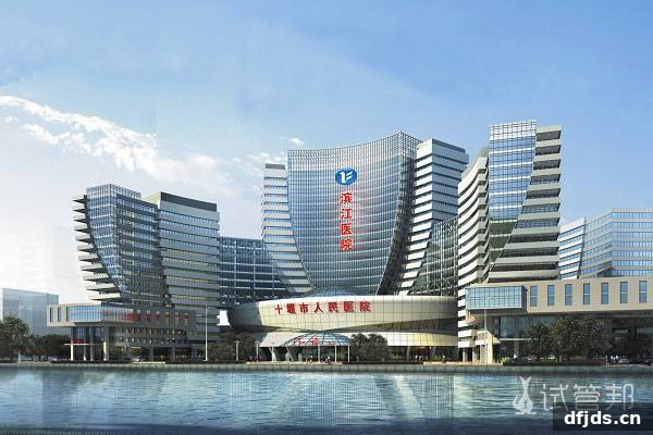 东方监督所 dfjds.cn - 试管婴儿