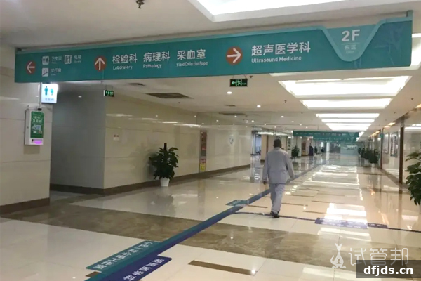 东方监督所 dfjds.cn - 试管婴儿