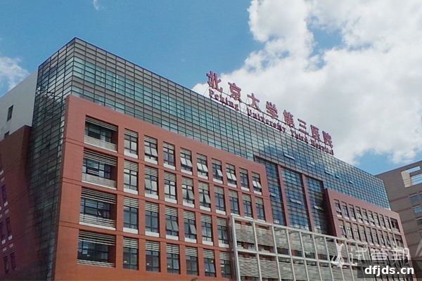 dfjds.cn 版权所有 东方监督所 dfjds.cn - 试管婴儿