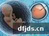 dfjds.cn 版权所有 东方监督所 dfjds.cn - 试管婴儿