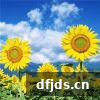 东方监督所 dfjds.cn - 试管婴儿