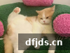 东方监督所 dfjds.cn - 试管婴儿