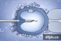 东方监督所 dfjds.cn - 试管婴儿