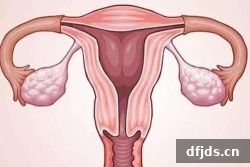 dfjds.cn 版权所有 东方监督所 dfjds.cn - 试管婴儿