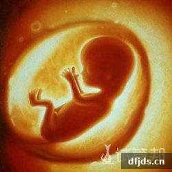 dfjds.cn 版权所有 东方监督所 dfjds.cn - 试管婴儿