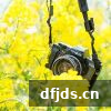 东方监督所 dfjds.cn - 试管婴儿