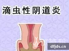 dfjds.cn 版权所有 东方监督所 dfjds.cn - 试管婴儿