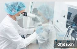 东方监督所 dfjds.cn - 试管婴儿