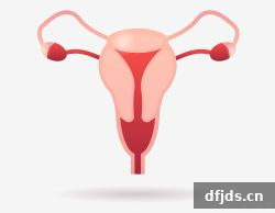 dfjds.cn 版权所有 东方监督所 dfjds.cn - 试管婴儿