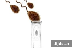 dfjds.cn 版权所有 东方监督所 dfjds.cn - 试管婴儿