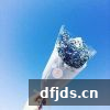 dfjds.cn 版权所有 东方监督所 dfjds.cn - 试管婴儿